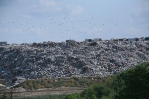 Cheltuielile pentru protecţia mediului au fost de nouă miliarde de lei, reprezentând 1,2% din PIB